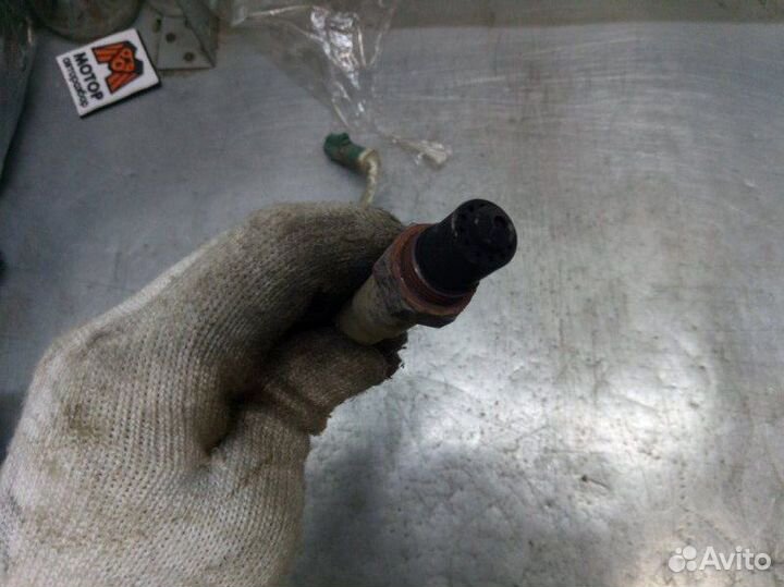 Датчик кислородный Ford Focus 3 хетчбэк 1.6 105