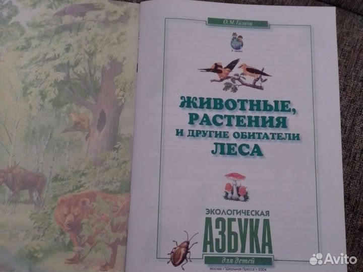 Животные, растения и другие обитатели леса