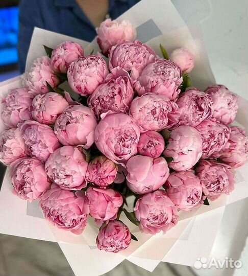 Пионы Букет