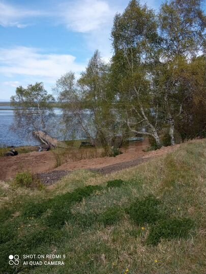 Участок 24 сот. (ИЖС)