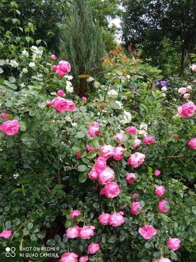 Дом 77 м² на участке 1,1 га