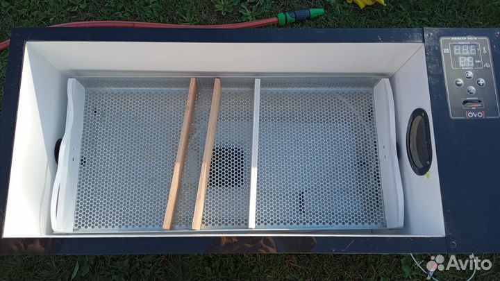 Инкубатор для яиц