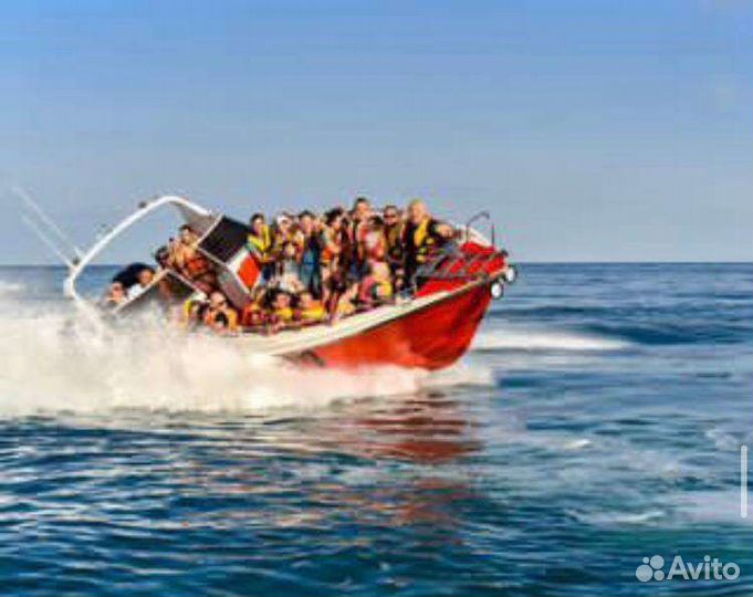 Морские Прогулки Парашют Рыбалка