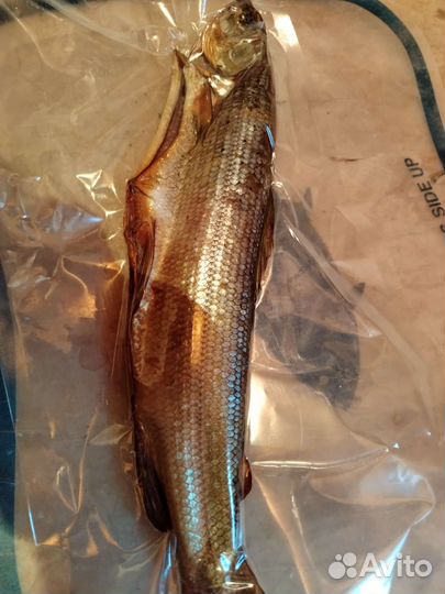 Хариус холодного/горячего копчения