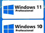 MS Windows 10:11 Home/Pro