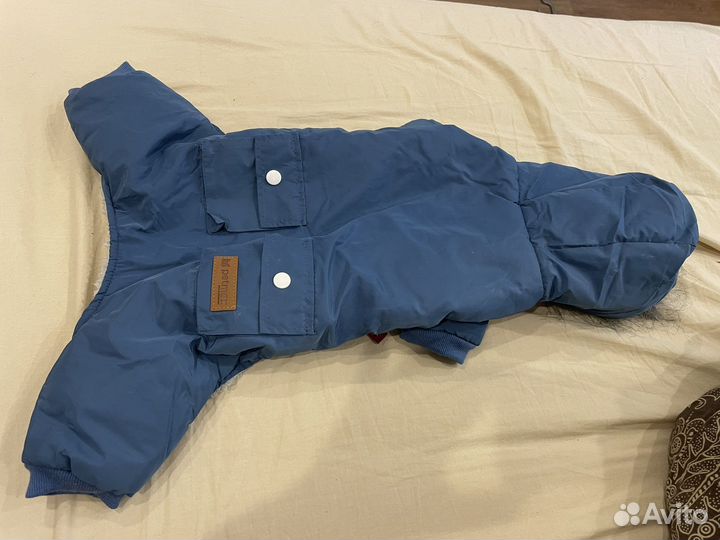 Комбинезон для собаки