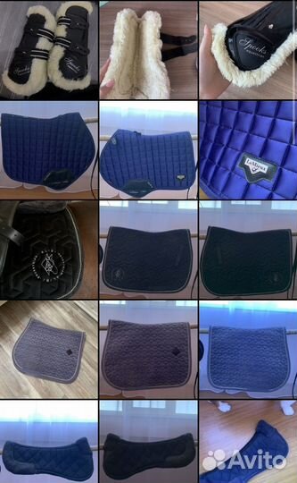 Вещи для конного спорта