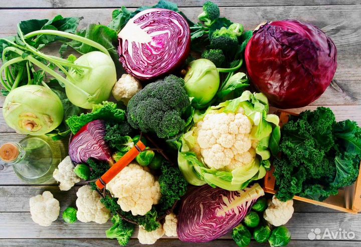 Семена/томат/огурец/перец/лук/свекла/морковь/цветы