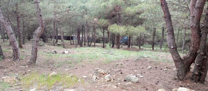 Участок 9,2 сот. (ИЖС)