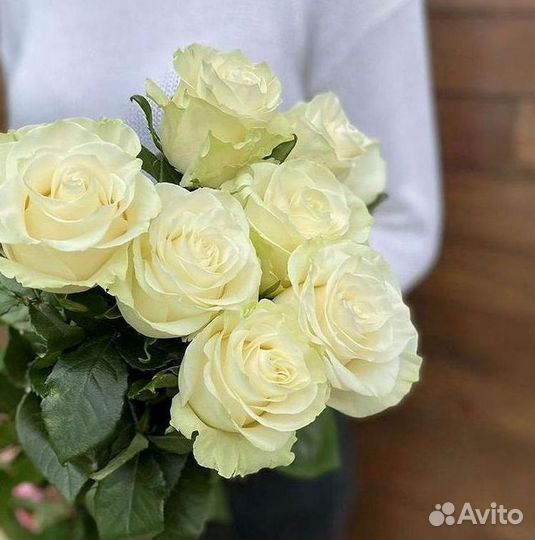 Длинные высокие розы 110 150 160 180 200 см