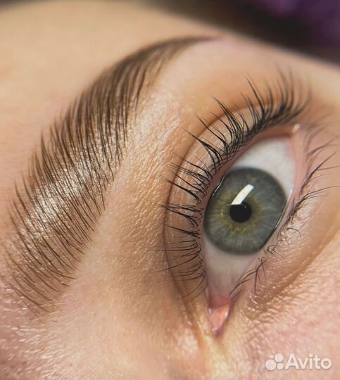 Мастер бровист