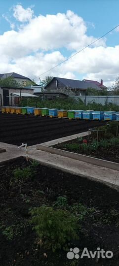 Прицеп зиловский,оборудованный под пчел,улья