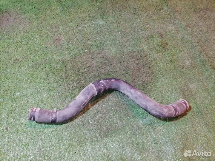 Патрубок охлаждения (радиатора) MR968440нижний Mit