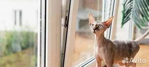 Пластиковые окна rehau