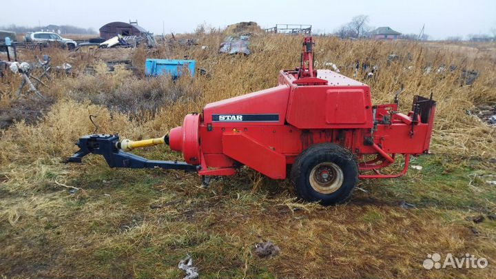 Овцы и бараны