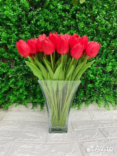 Тюльпаны 30р