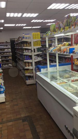 Торговая площадь 302,2 м²