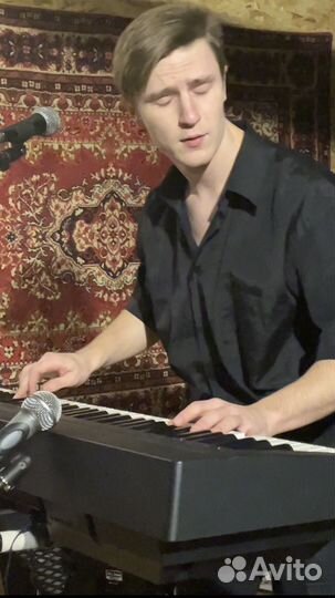 Мультиинструменталист