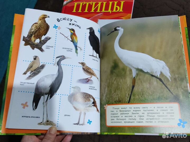 Детские книжки