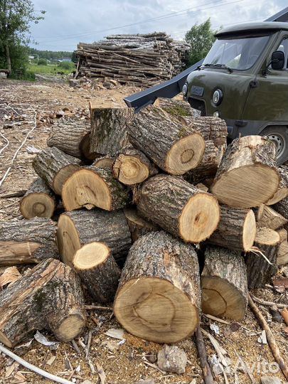 Дрова дубовые