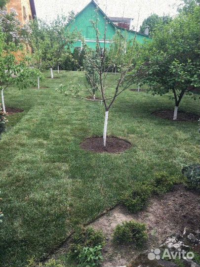 Укладка рулонного газона