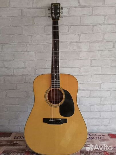 Акустическая гитара Morris W 25