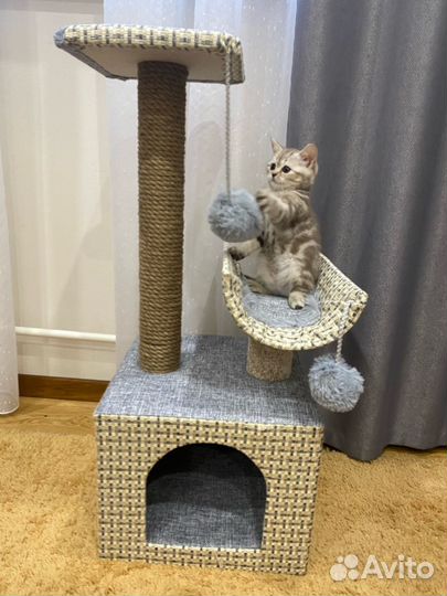 Домик-когтеточка-трансформер для кошек /35х35х83см