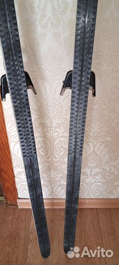 Беговые лыжи