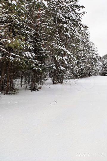 Участок 1,16 га (ИЖС)