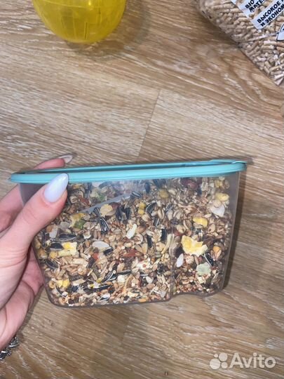 Все для грызунов (хомяка)