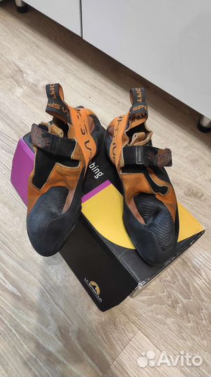 Скальные туфли