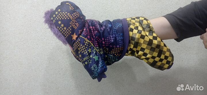 Одежда для собак