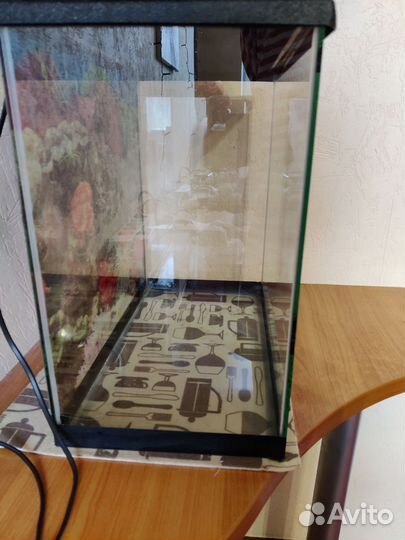 Аквариум, Террариум