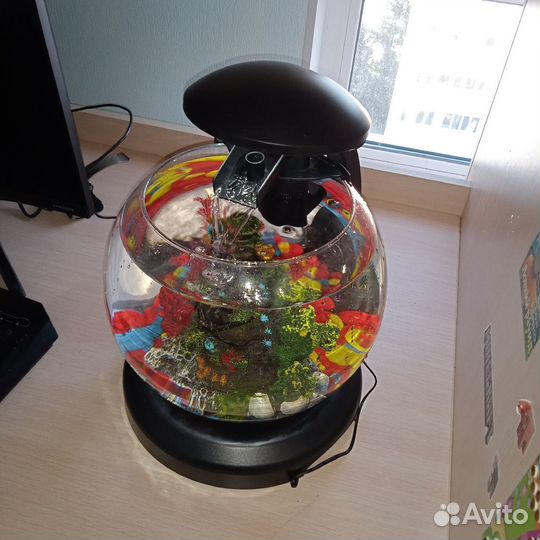 Аквариум 6.8 л (фильтр, крышка, освещение)