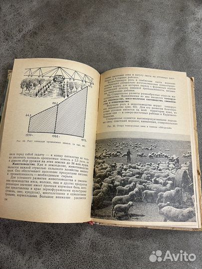 География история Ставрополья, Кавказ