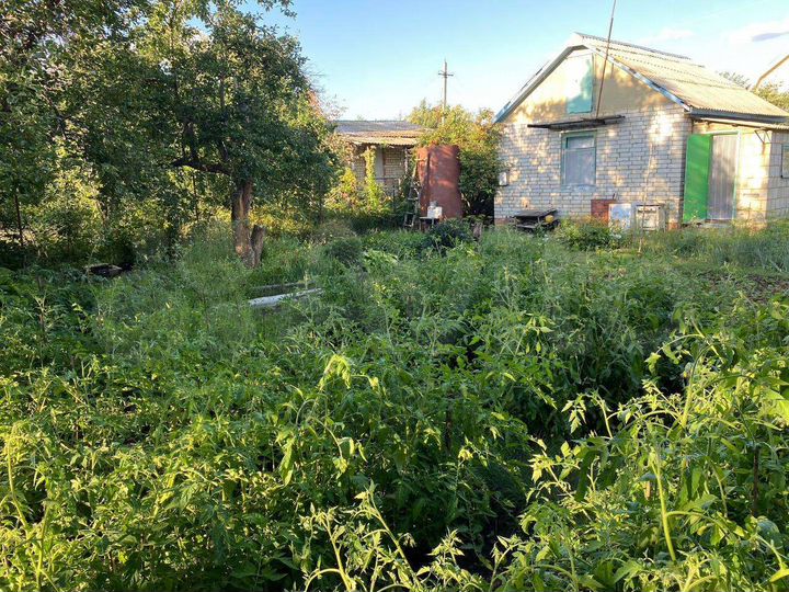 Дача 30 м² на участке 5 сот.