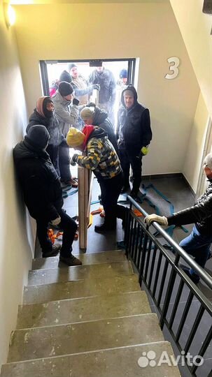 Грузчики / грузоперевозки / вывоз мусора