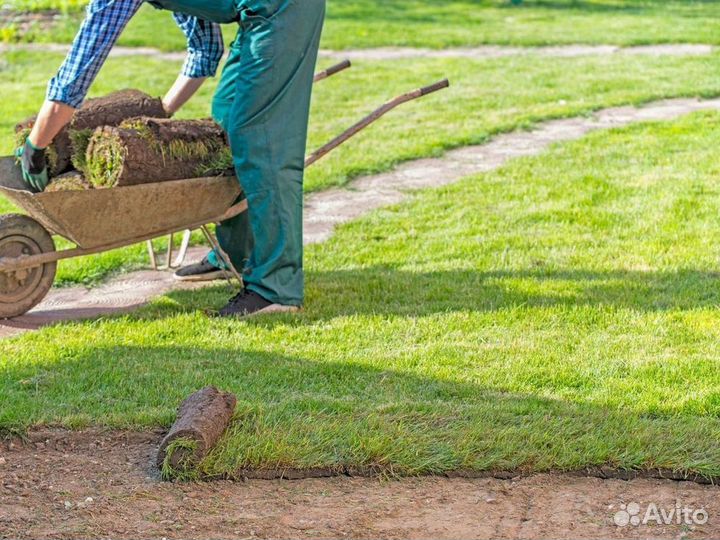 Укладка рулонного газона