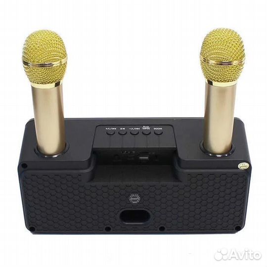 Sdrd SD-301 караоке система колонка с 2 микрофонам