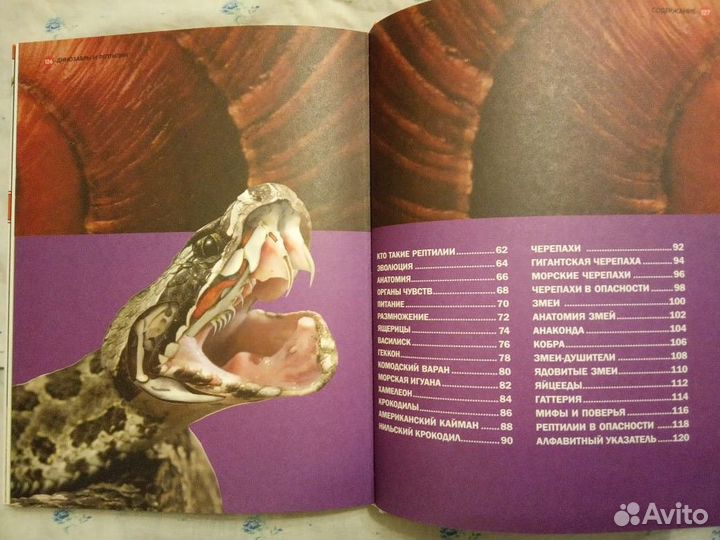 Динозавры и рептилии. Большая детская энциклопедия