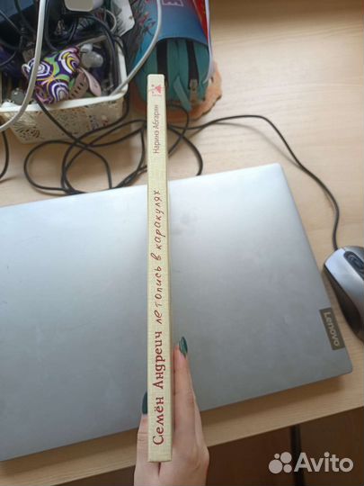 Книга «Семён Андреич»