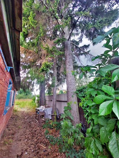 Участок 8,2 сот. (ИЖС)