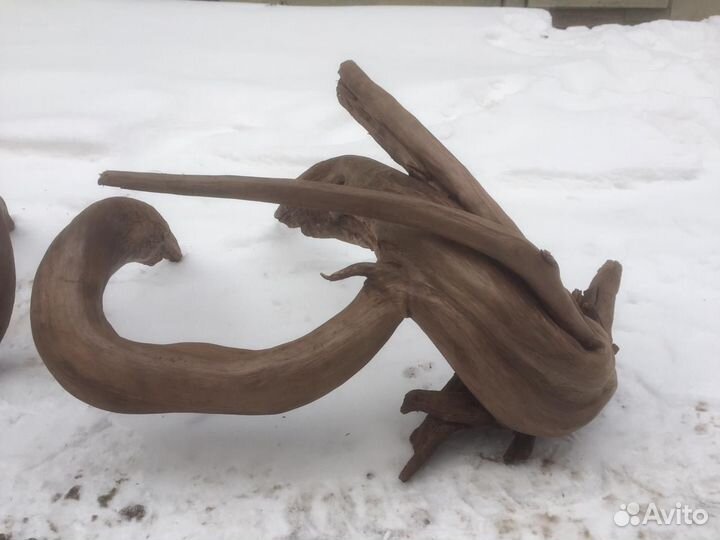 Коряги для террариума