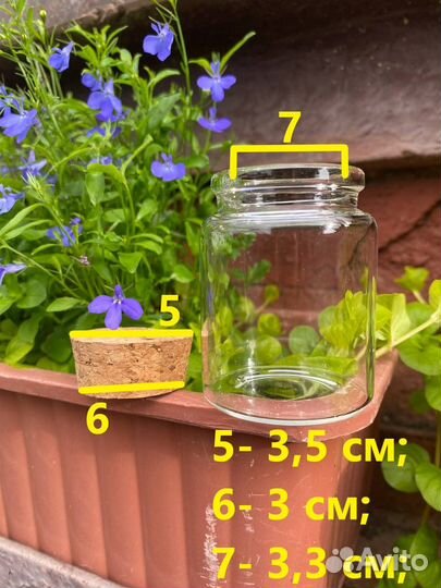 Банка стеклянная №70