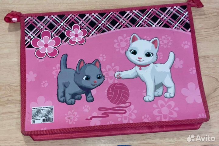 Папка школьная