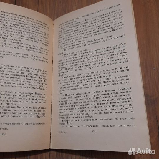 Два брата. Волков. 1981 г