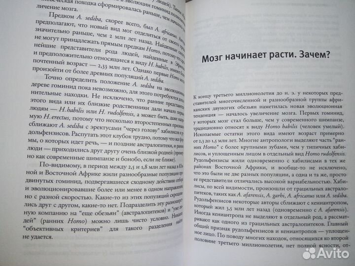 Эволюция человека. Рождение сложности