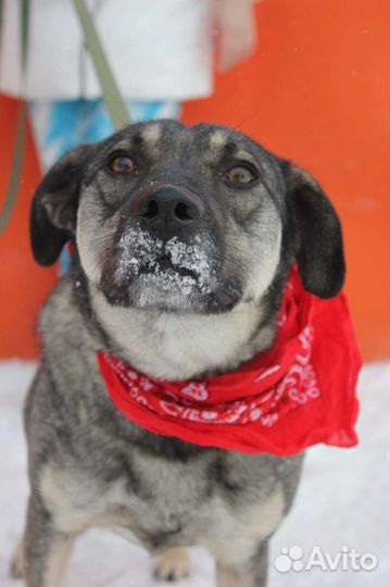 Ярик нуждается в любящем его человеке