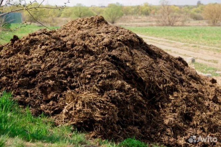 Перегной сыпец 2-3г Навоз конский чернозем 5+ ЗИЛ