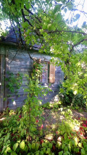 Дача 30 м² на участке 10 сот.